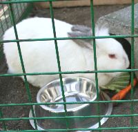 �������Y�搶�@2007�N1���Βk���W�̎ʐ^�ł�